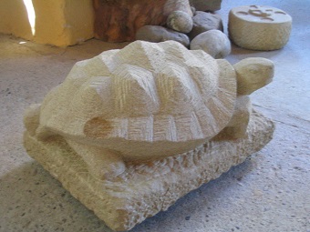 Schildkröte (5).jpg